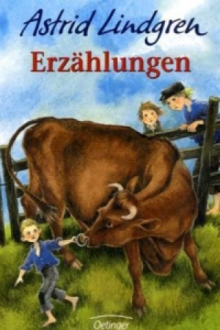 Książka Erzählungen Astrid Lindgren