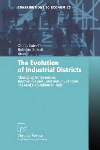 Kniha Evolution of Industrial Districts Giulio Cainelli