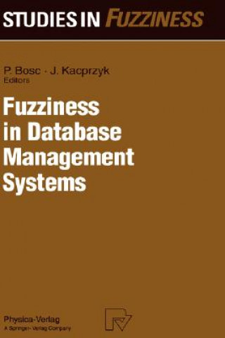 Könyv Fuzziness in Database Management Systems Patrick Bosc