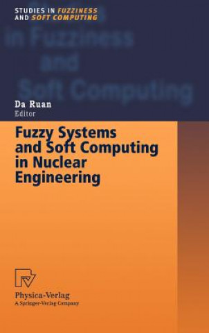 Könyv Fuzzy Systems and Soft Computing in Nuclear Engineering Da Ruan