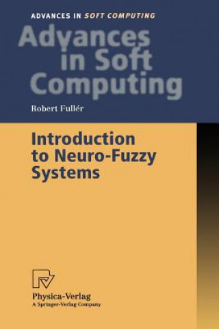 Kniha Introduction to Neuro-Fuzzy Systems Robert Fuller