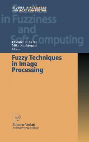 Buch Fuzzy Techniques in Image Processing Etienne E. Kerre