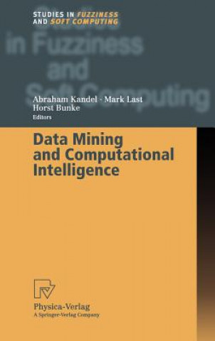 Knjiga Data Mining and Computational Intelligence Abraham Kandel