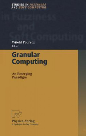 Livre Granular Computing Witold Pedrycz