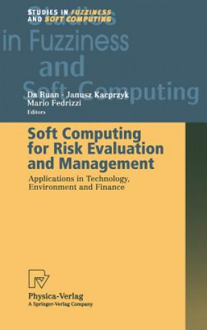 Kniha Soft Computing for Risk Evaluation and Management Da Ruan
