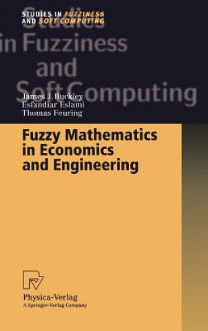 Buch Fuzzy Mathematics in Economics and Engineering James J. Buckley