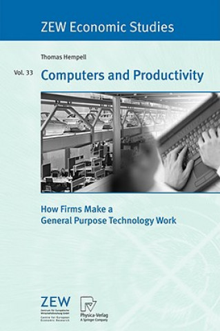 Buch Computers and Productivity Thomas Hempell