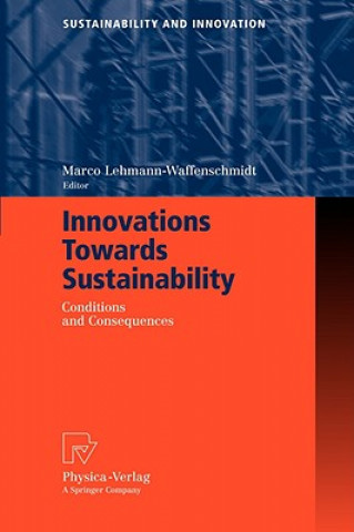 Kniha Innovations Towards Sustainability Marco Lehmann-Waffenschmidt