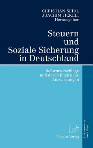 Kniha Steuern Und Soziale Sicherung in Deutschland Christian Seidl