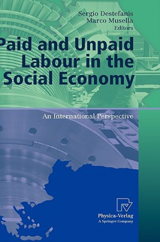 Könyv Paid and Unpaid Labour in the Social Economy Sergio Destefanis
