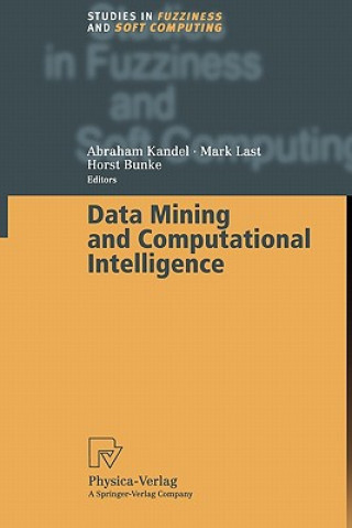 Könyv Data Mining and Computational Intelligence Abraham Kandel