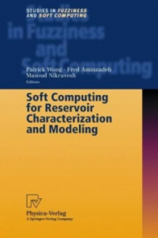 Kniha Soft Computing for Reservoir Characterization and Modeling Patrick Wong