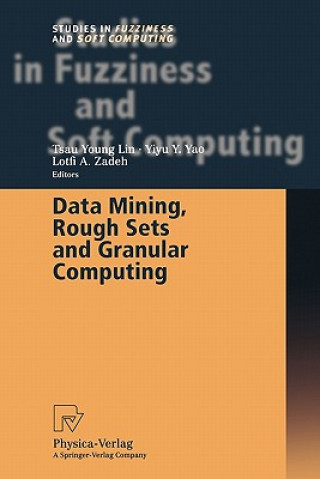 Knjiga Data Mining, Rough Sets and Granular Computing Tsau Young Lin