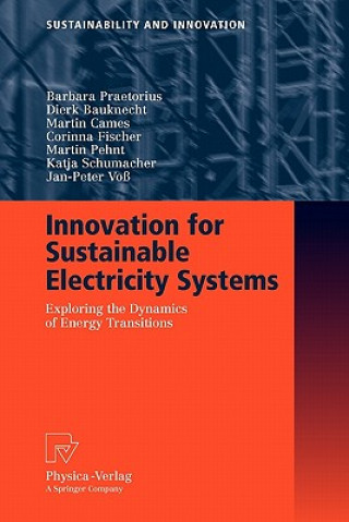 Könyv Innovation for Sustainable Electricity Systems Barbara Praetorius