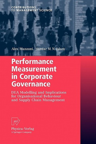 Buch Performance Measurement in Corporate Governance Alex Manzoni