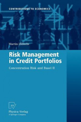 Kniha Risk Management in Credit Portfolios Martin Hibbeln