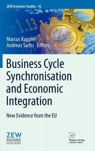 Kniha Business Cycle Synchronisation and Economic Integration Marcus Kappler