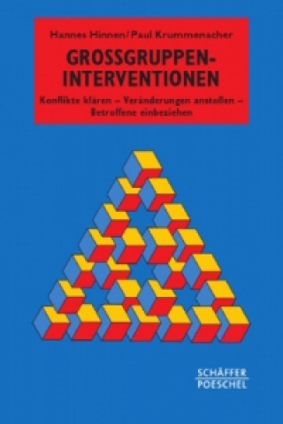 Könyv Großgruppen-Interventionen Hannes Hinnen