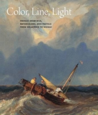 Könyv Color, Line, Light Margaret Morgan Grasselli