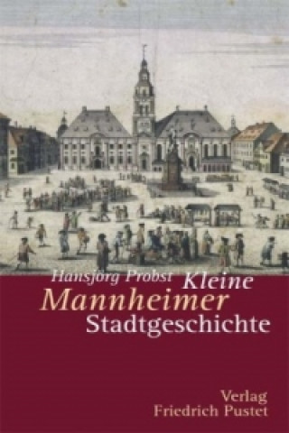 Book Kleine Mannheimer Stadtgeschichte Hansjörg Probst