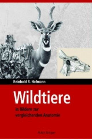 Книга Wildtiere in Bildern zur Vergleichenden Anatome Reinhold R. Hofmann