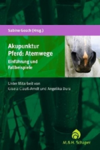 Kniha Akupunktur Pferd: Atemwege Sabine Gosch