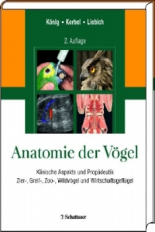 Kniha Anatomie der Vögel Horst E. König