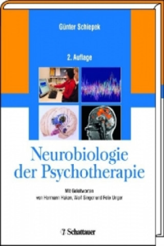 Kniha Neurobiologie der Psychotherapie Günter Schiepek