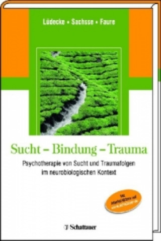 Book Sucht - Bindung - Trauma Christel Lüdecke