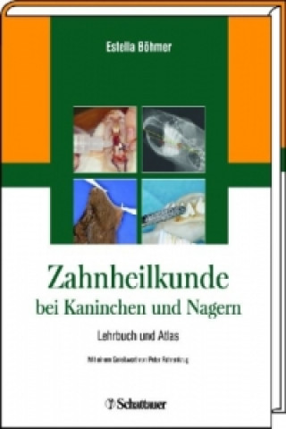 Kniha Zahnheilkunde bei Kaninchen und Nagern Estella Böhmer