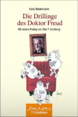 Kniha Die Drillinge des Doktor Freud Hans Biedermann