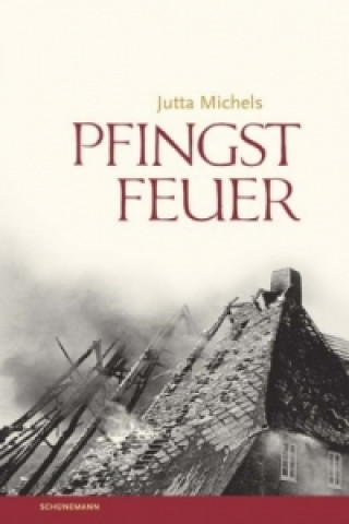 Kniha Pfingstfeuer Jutta Michels