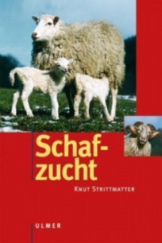 Könyv Schafzucht Knut Strittmatter