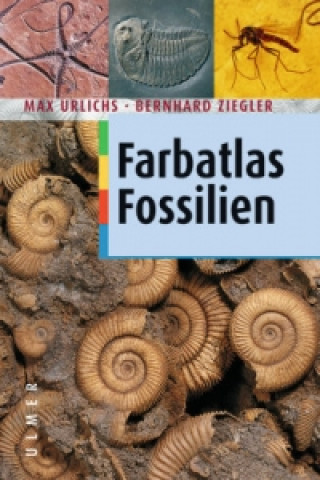 Kniha Farbatlas Fossilien Max Urlichs