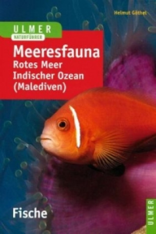 Kniha Meeresfauna Rotes Meer, Indischer Ozean (Malediven) Helmut Göthel