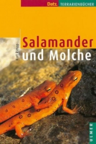 Könyv Salamander und Molche Kurt Rimpp