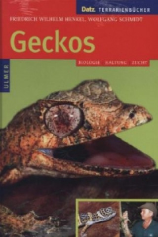 Buch Geckos Friedrich-Wilhelm Henkel