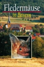 Carte Fledermäuse in Bayern Angelika Meschede