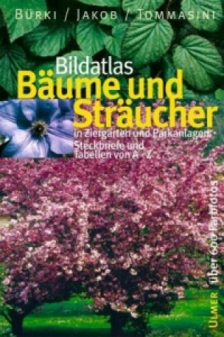 Book Bildatlas Bäume und Sträucher Moritz Bürki