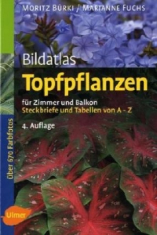 Kniha Topfpflanzen Moritz Bürki