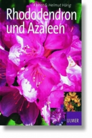 Kniha Rhododendron und Azaleen Rainer Härig