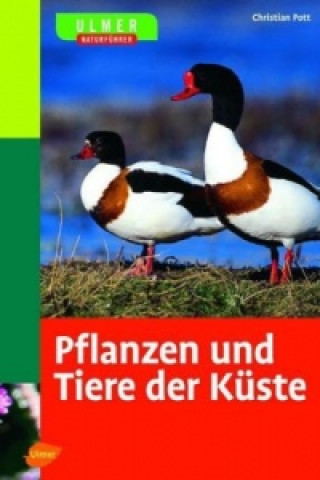 Libro Ulmer Naturführer Pflanzen und Tiere der Küste Christian Pott