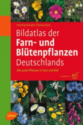 Könyv Bildatlas der Farn- und Blütenpflanzen Deutschlands Henning Haeupler