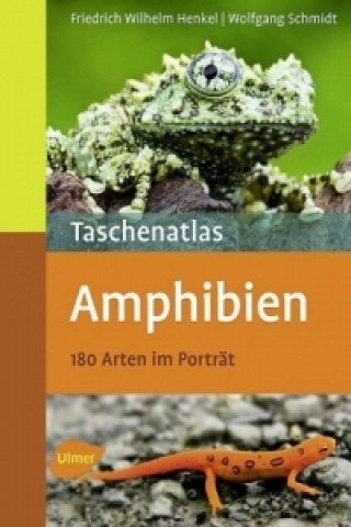 Kniha Taschenatlas Amphibien Friedrich-Wilhelm Henkel