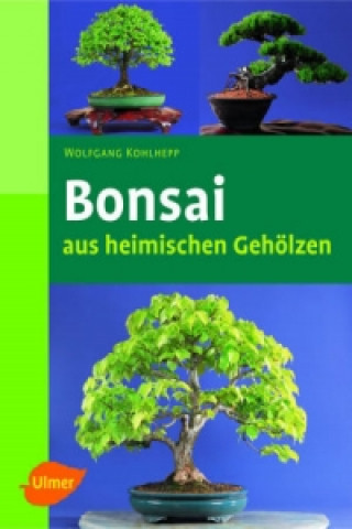 Kniha Bonsai aus heimischen Gehölzen Wolfgang Kohlhepp