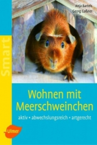 Book Wohnen mit Meerschweinchen Anja Bartels
