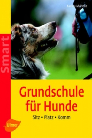 Kniha Grundschule für Hunde Karina Mahnke