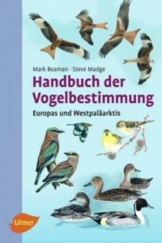 Libro Handbuch der Vogelbestimmung Mark Beaman