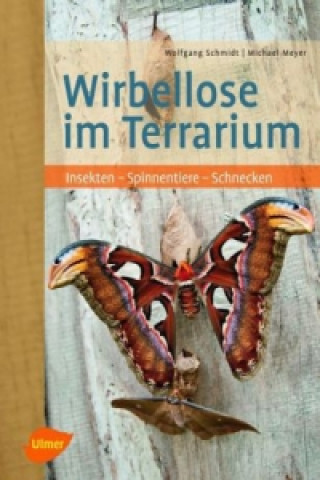 Kniha Wirbellose im Terrarium Wolfgang Schmidt