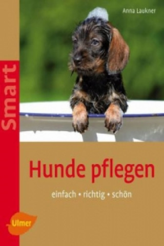 Kniha Hunde pflegen Anna Laukner